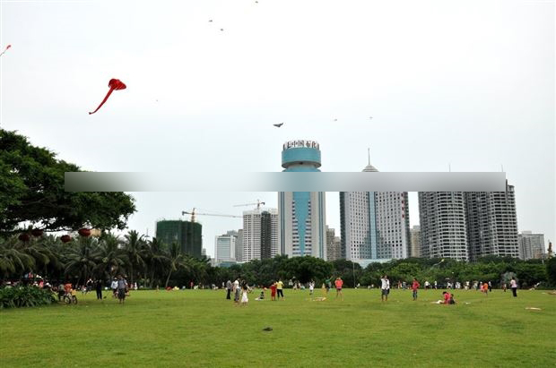 海口市容市貌與城市特色介紹