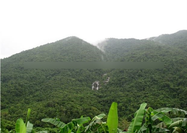 吊羅山國家森林公園