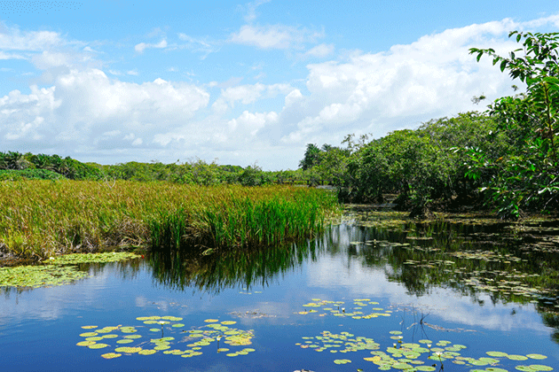 海南 濕地公園