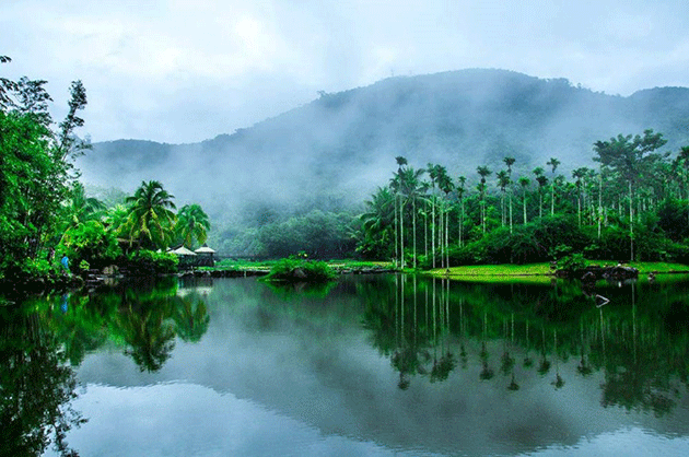 海南 濕地公園